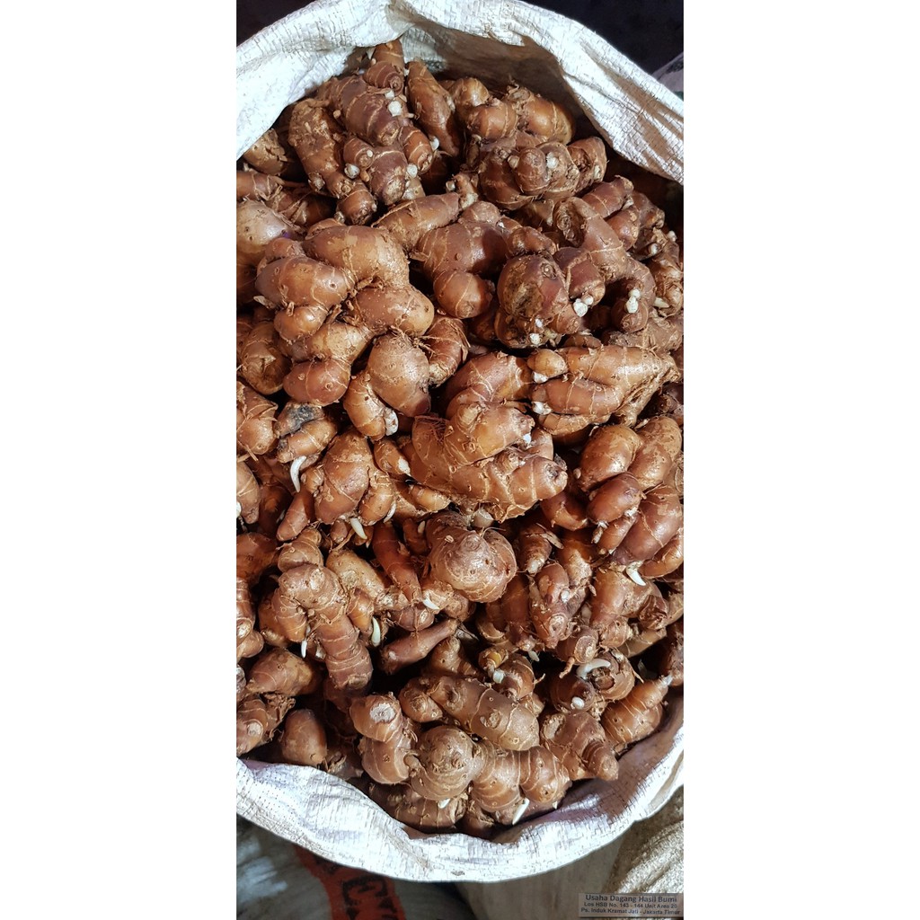 

[Bumi Mart] Kencur | 500 Gr | 1 KG