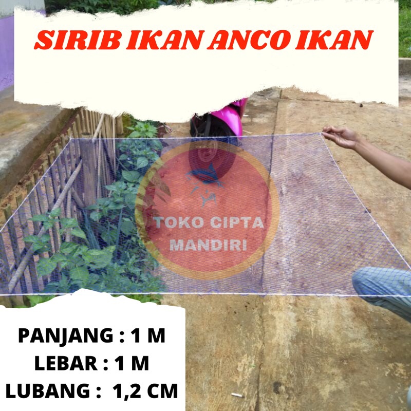 jaring anco ikan sirib ikan hanco ikan