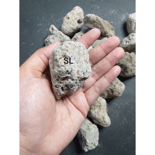 Batu Apung / Batu Pumice / Pumice Stone