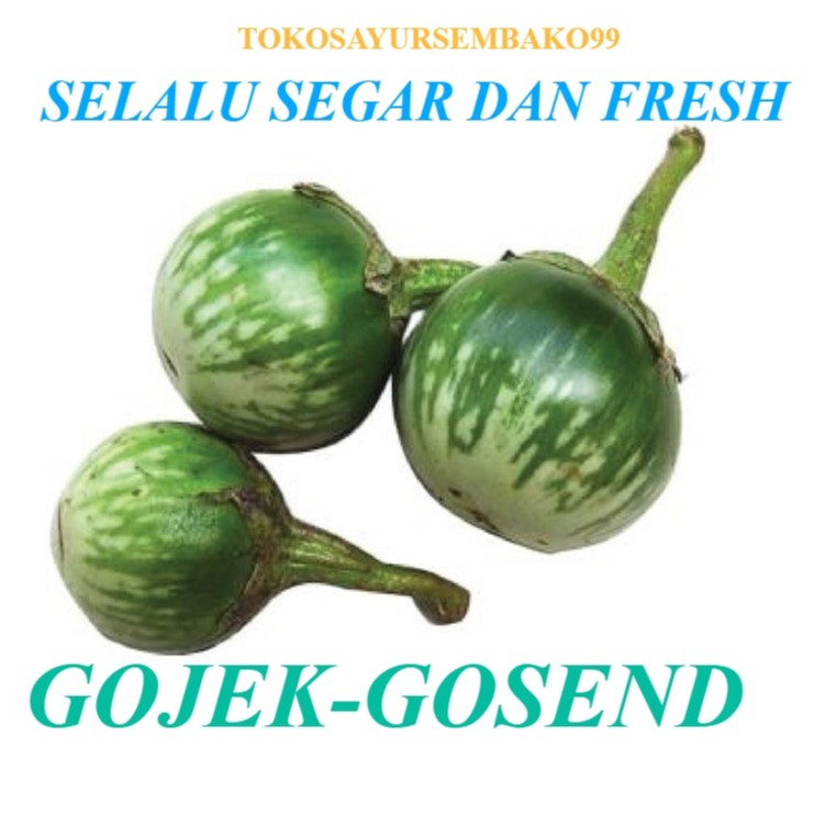 

Sayur Terong kecil Lalap Hijau Segar Fresh 500 gram - 1 kg Surabaya