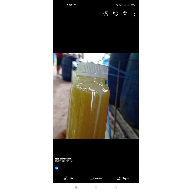 

madu ternak