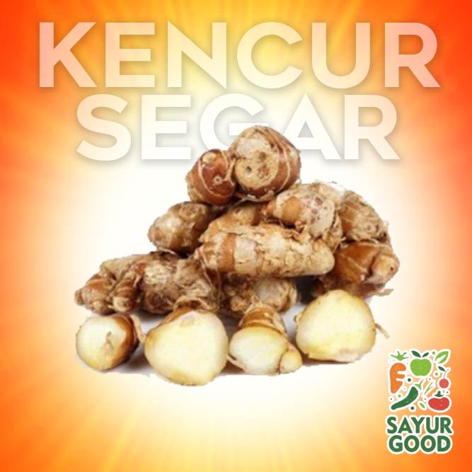 

Kencur Segar / 100gr