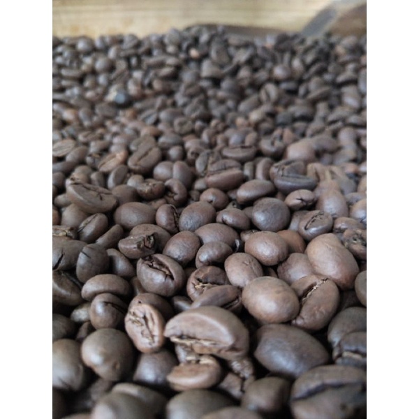 

Kopi Temanggung robusta / exselsa / arabika
