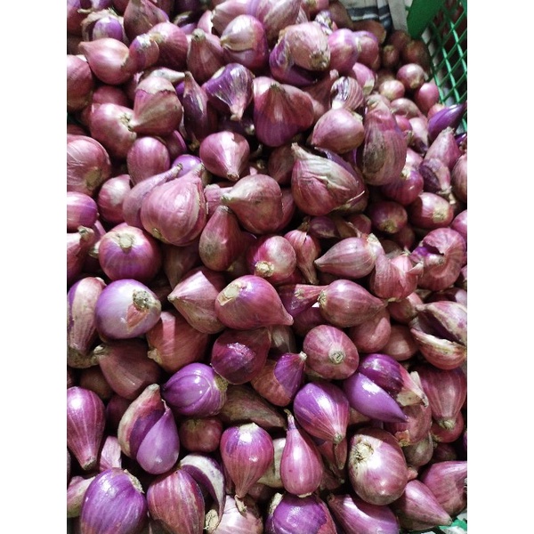 

bawang merah Brebes harga 1 kg