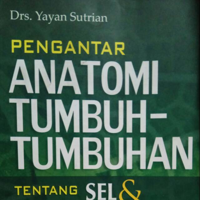 Pengantar Anatomi Tumbuh Tumbuhan Tentang Sel Dan Jaringan