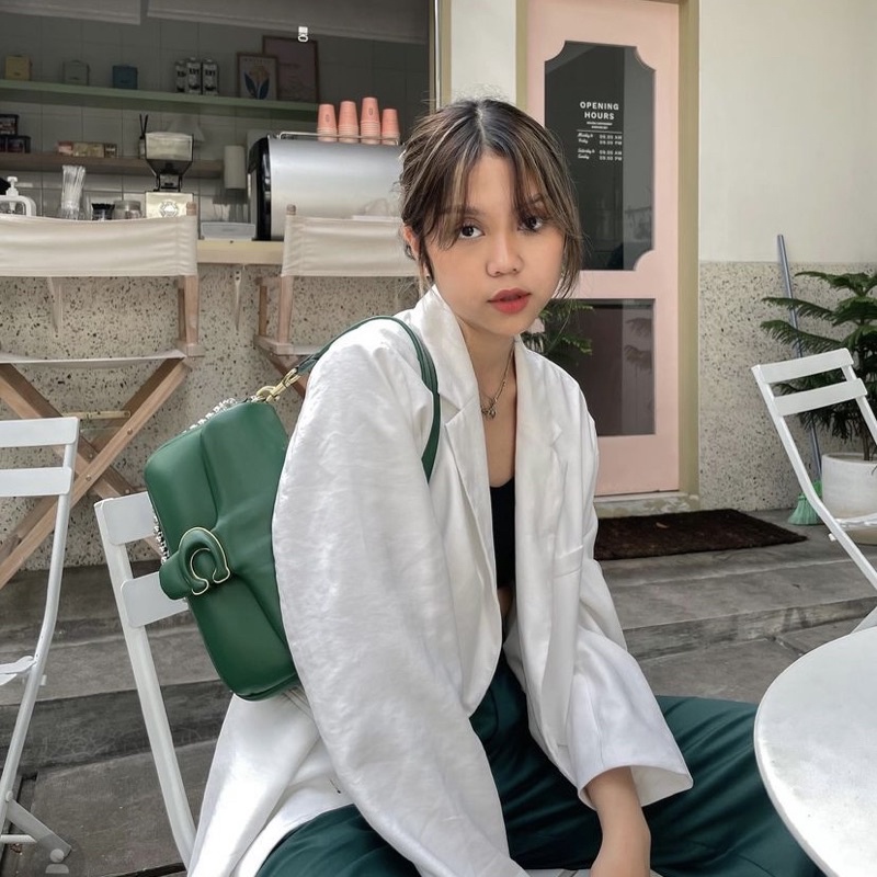 Tabby Pillow Shoulder Bag 26