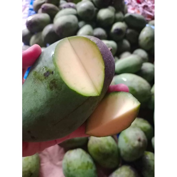 

mangga muda / mangga rujak