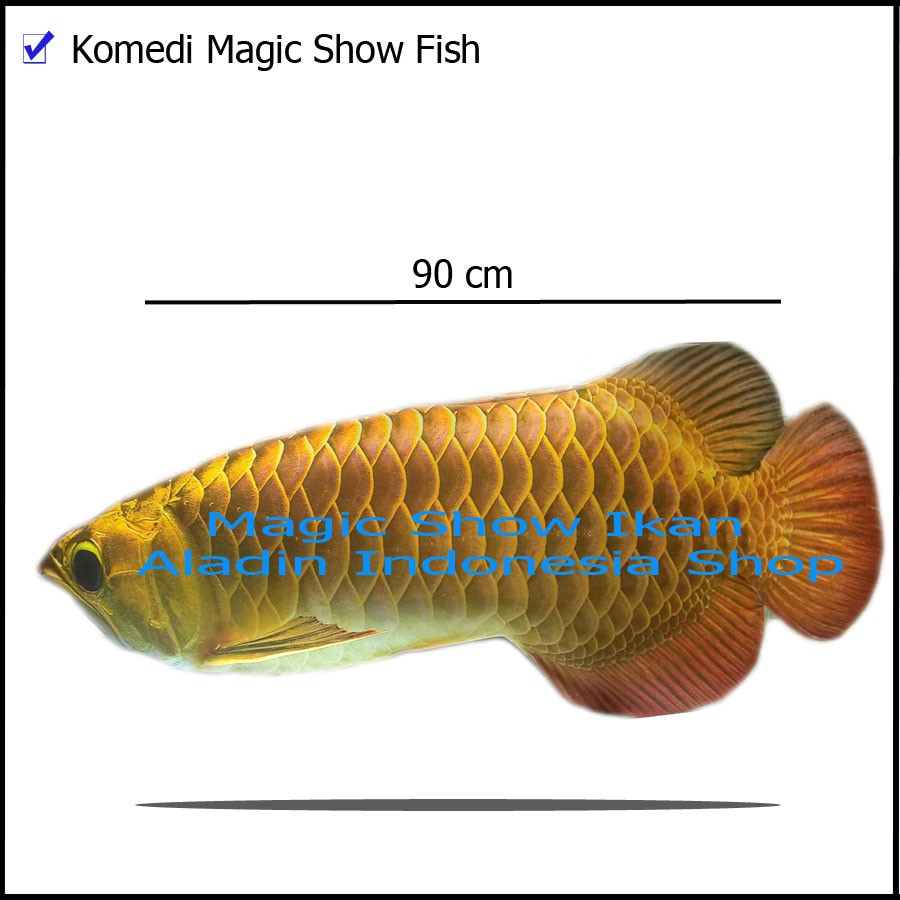 Ikan Magic Show - Comedy Fish Magic - Alat Sulap