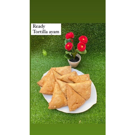 

Frozen Tortila