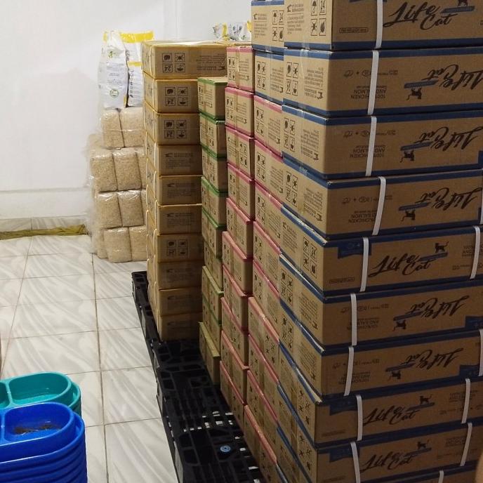 

lifecat kaleng 1 dus MURAH