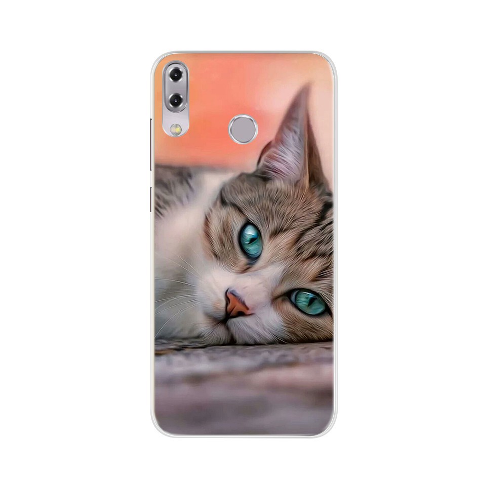 Asus Zenfone 5z ZS620KL Zenfone 5 ZE620KL Casing Printed Case Soft Slicone TPU Cover Phone Case-248