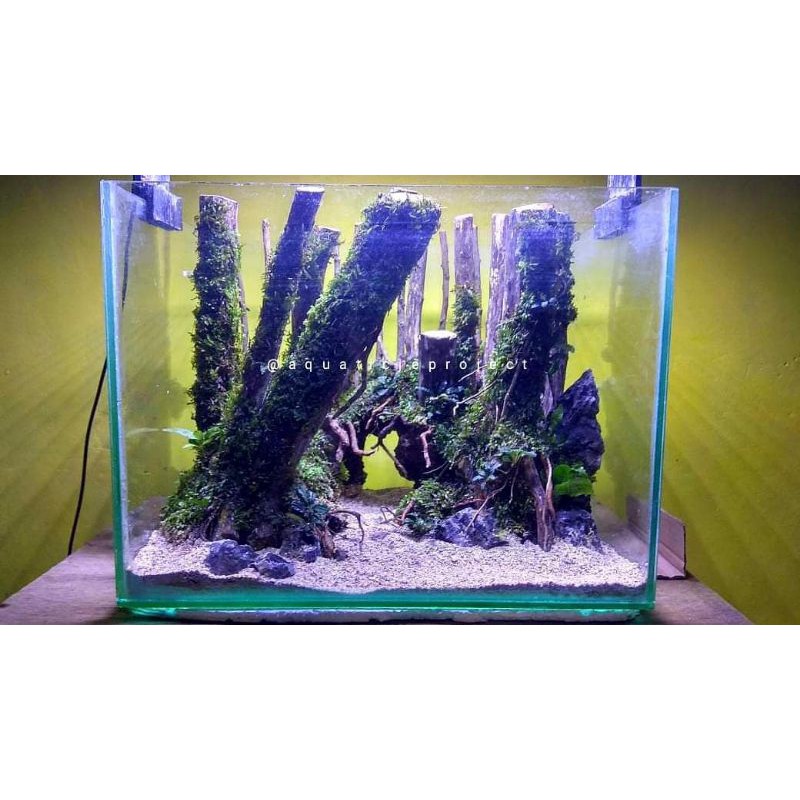 HARDSCAPE AQUASCAPE JUNGLE MURAH