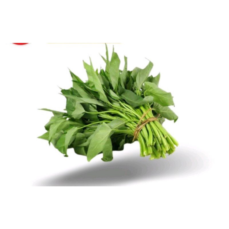 

kangkung