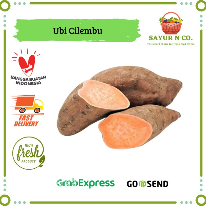 

Ubi Cilembu / Ubi Madu | Sayur N Co Bekasi