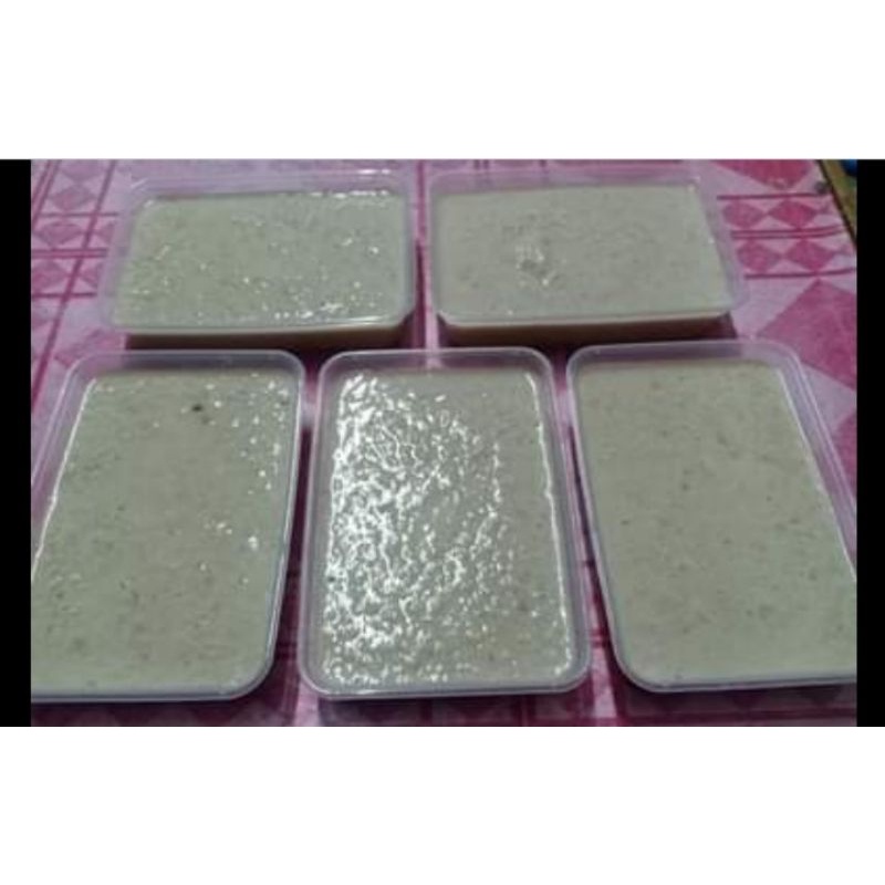 

puding cat
