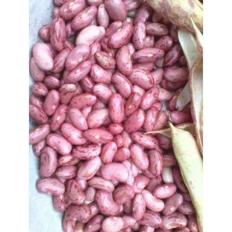 

kacang merah kering organik 200gr