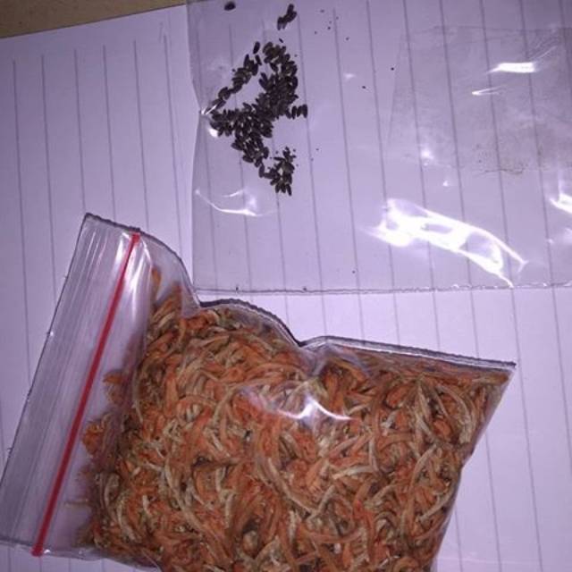 Pahe Bunga dagga dan benih