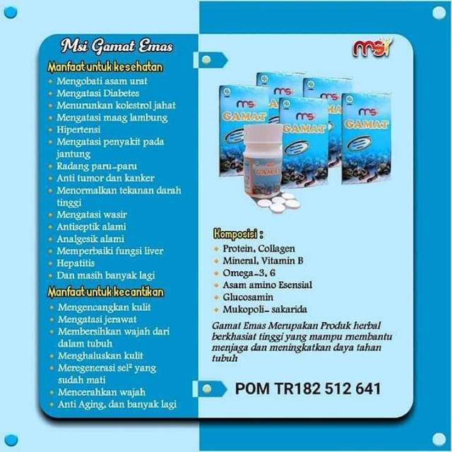 Gamat MSI 100% Original