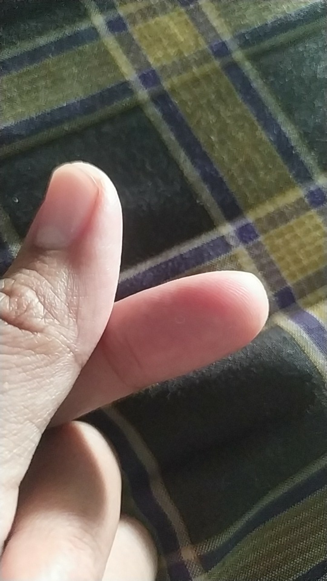 Plastik Hd Roll Buah Kuah Food Makanan Original Ukuran 25 Cm X 38 Cm Kemasan: 1kg