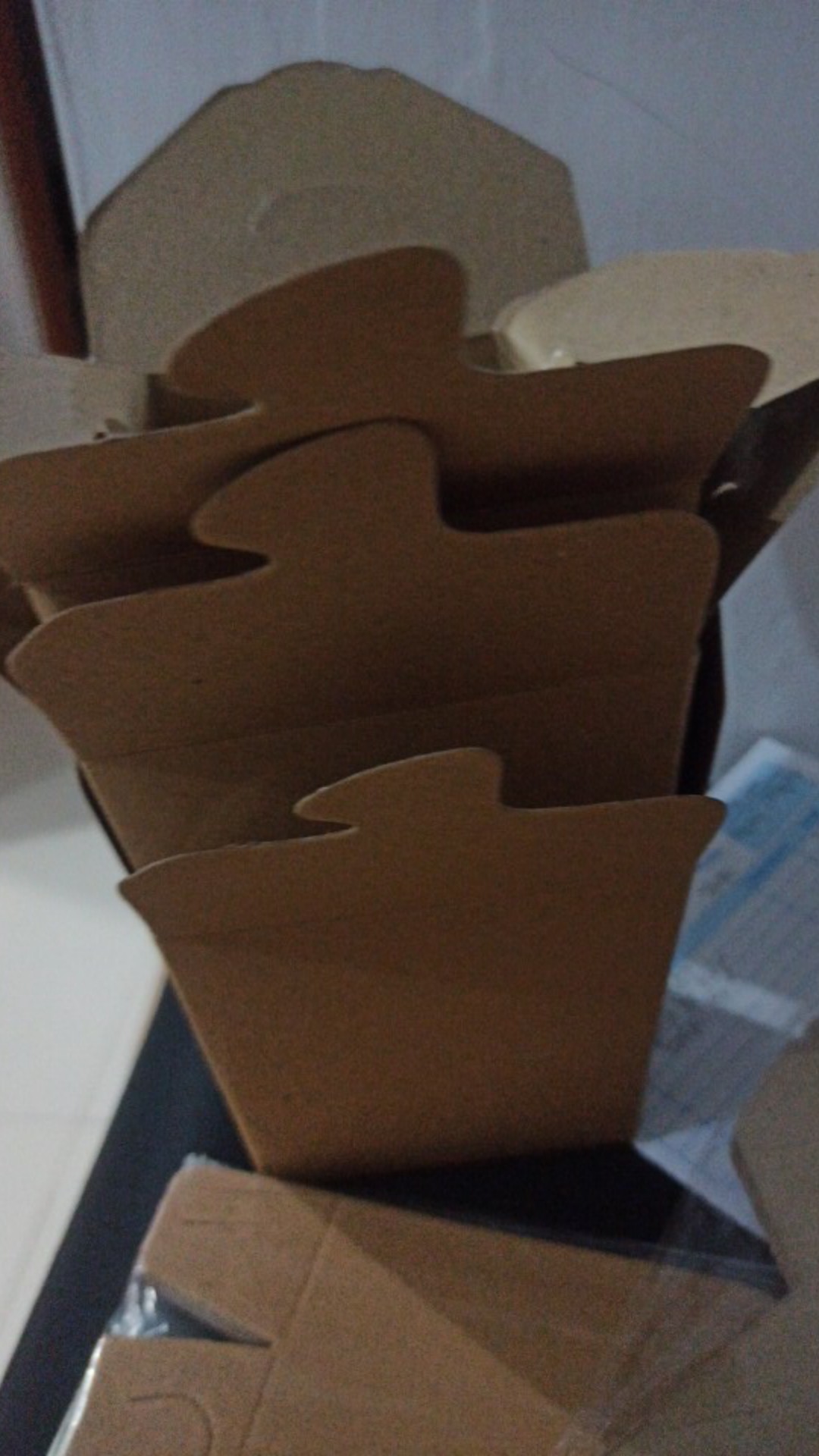 Kemasan Nasi / Food Pail / Noodle Box / Kemasan Kekinian