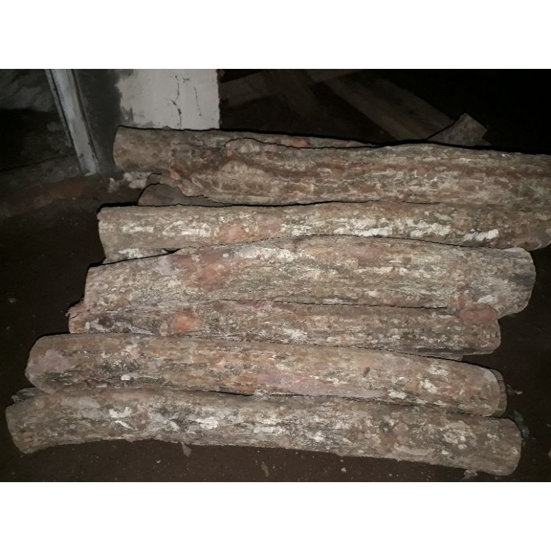 bahan kayu stigi panjang 60cm