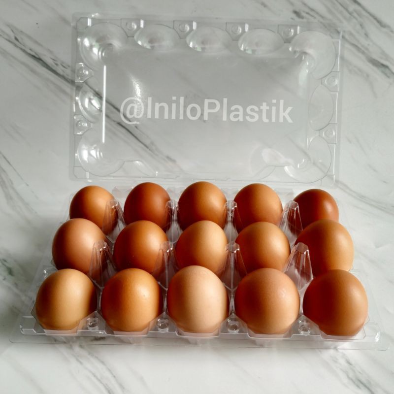 @25pcs Egg Tray / Mika Telur / Tempat Telur isi 15 dengan Klip Pengunci