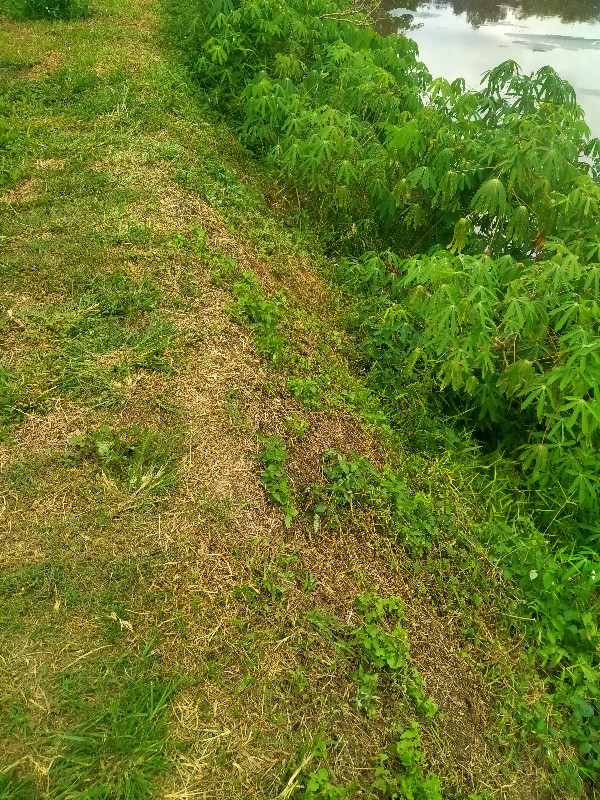 Set Kumplit Peralatan Reparasi Smartphone Bengkel Hp Repair Tools Set