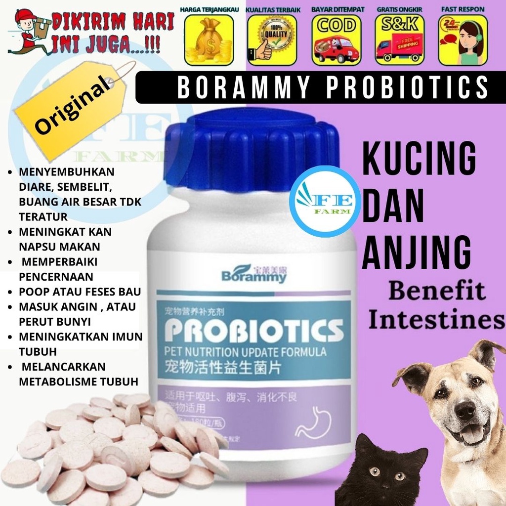 BORAMMY PROBIOTICS ECERAN TABLET FEFARM