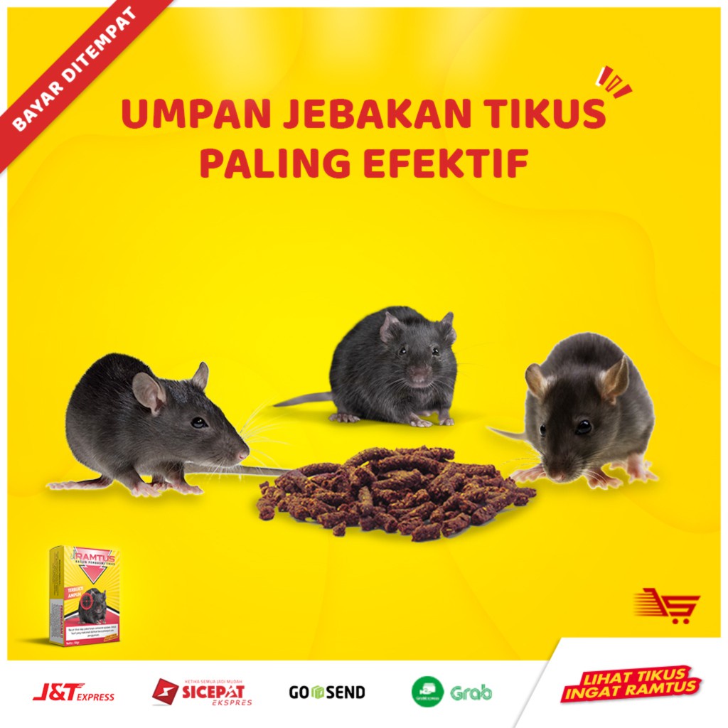 RAMTUS | Umpan Jebakan perangkap Racun tikus Paling Ampuh mati kering pengusir / pembasmi koloni tik