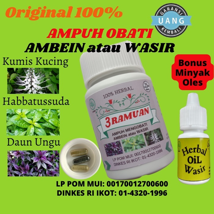 Obat Wasir Ampuh Stadium 4 Ambeien Ambeyen Ambien Hemoroid Herbal Paling Ampuh 100% ALAMI
