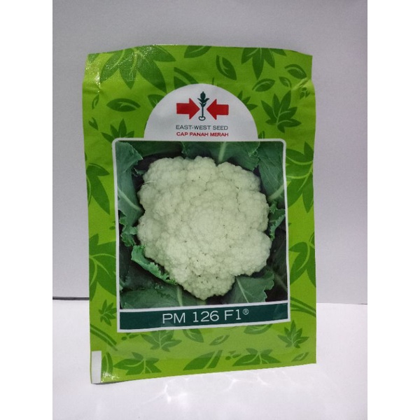 Benih bunga kol PM126 F1 10 gram bungkul hibrida pm 126.