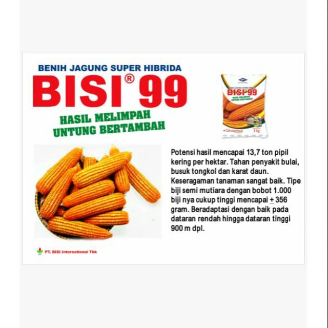 Bisi 99