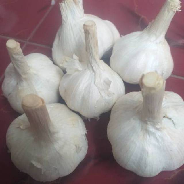 

Bawang Putih Kating Kotor 1kg