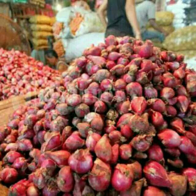 

Bawang Merah BREBES SUPER