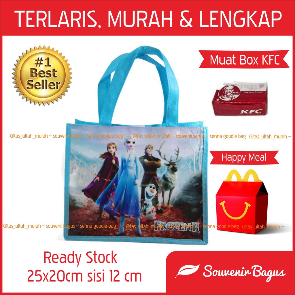 TERLARIS Tas Ultah Anak Frozen / Tas Souvenir Ulang Tahun Frozen / Goodie Bag Frozen