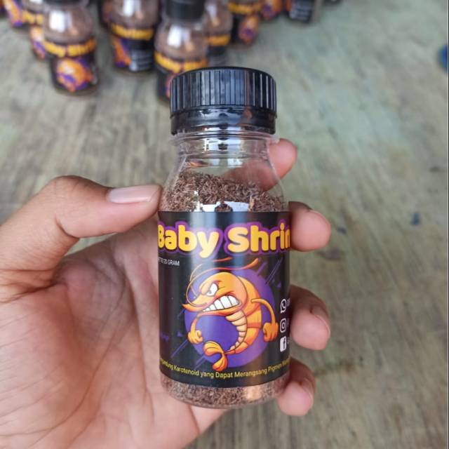 

baby shrimp pakan cupang