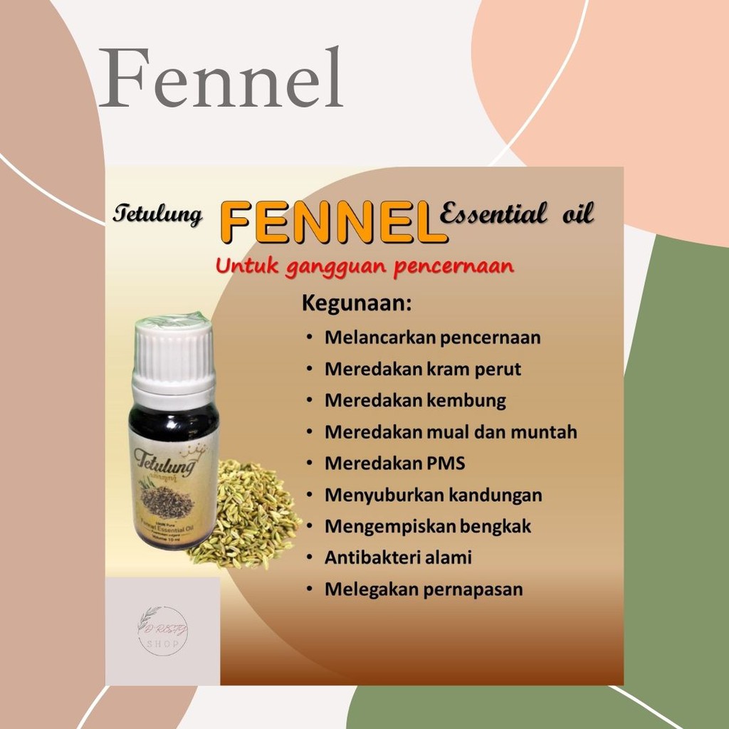 Jual Fennel Essential Oil Minyak Adas Untuk Kesehatan Pencernaan