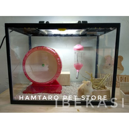 Terarium kandang Hamster syirian / robo / camble aquarium hampot