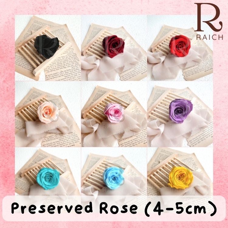 [8 Pcs/Box] Preserved Rose / Mawar yang Diawetkan