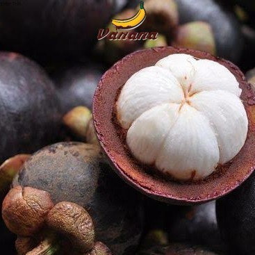 

Buah segar manggis per 1 kg