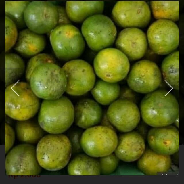 

Jeruk peras fresh per 100 gr, 500gr