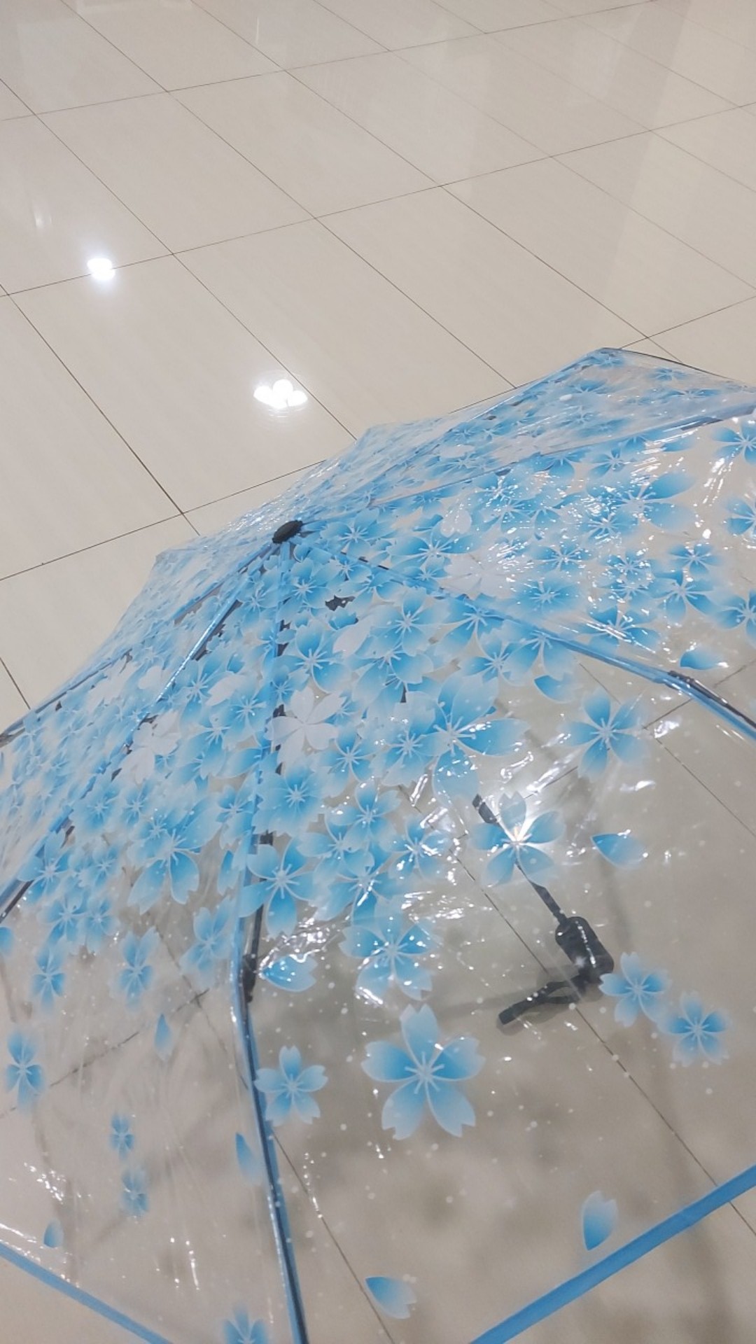 [logu] Payung Transparan Lipat, Payung Auto Lipat Transparan Brown Cony Paris