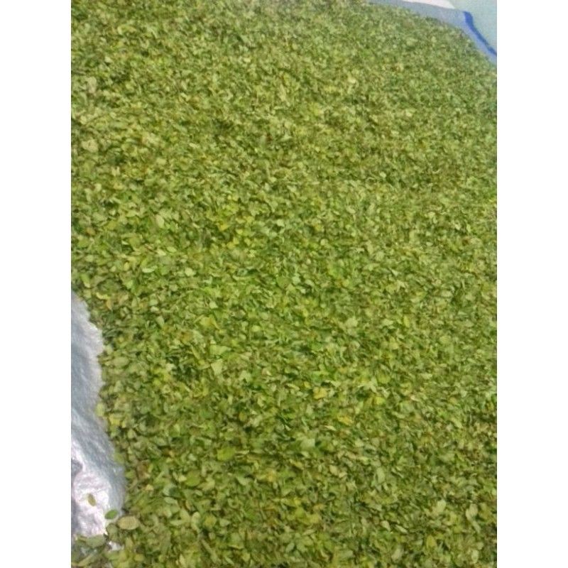 

Daun Kelor Kering 100% Asli Jemur Matahari 500gr