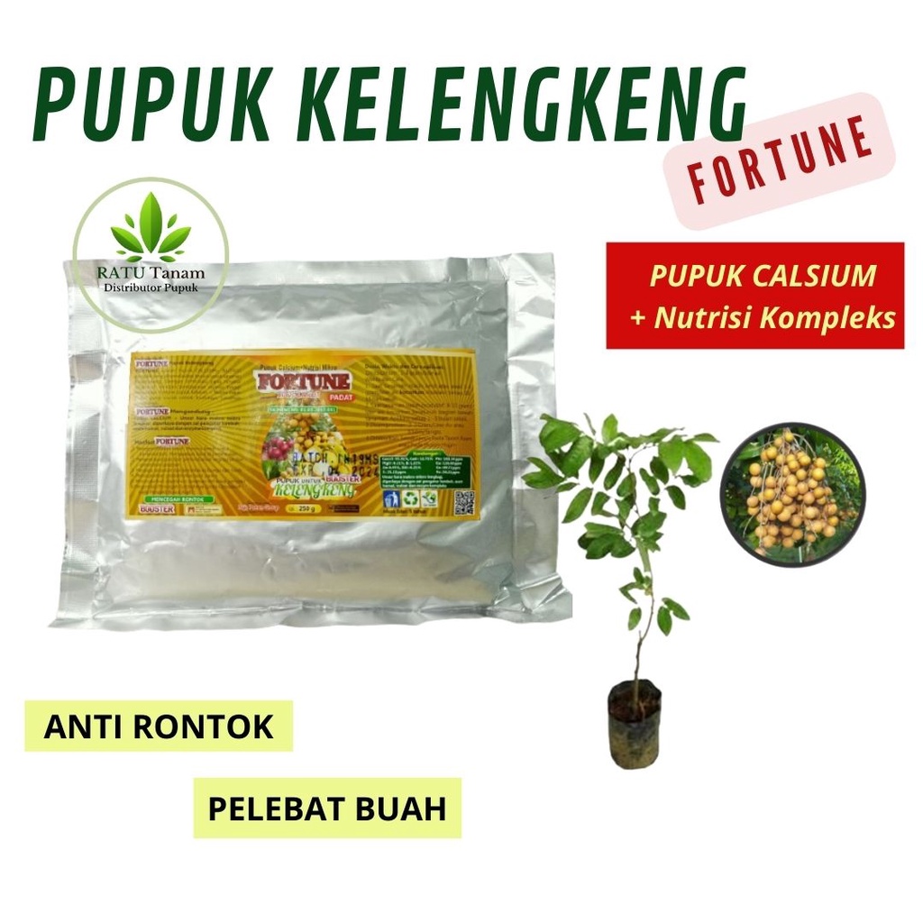 Pupuk Booster Kelengkeng Pupuk Booster Kelengkeng Terbaik, Booster Kelengkeng Tabulampot