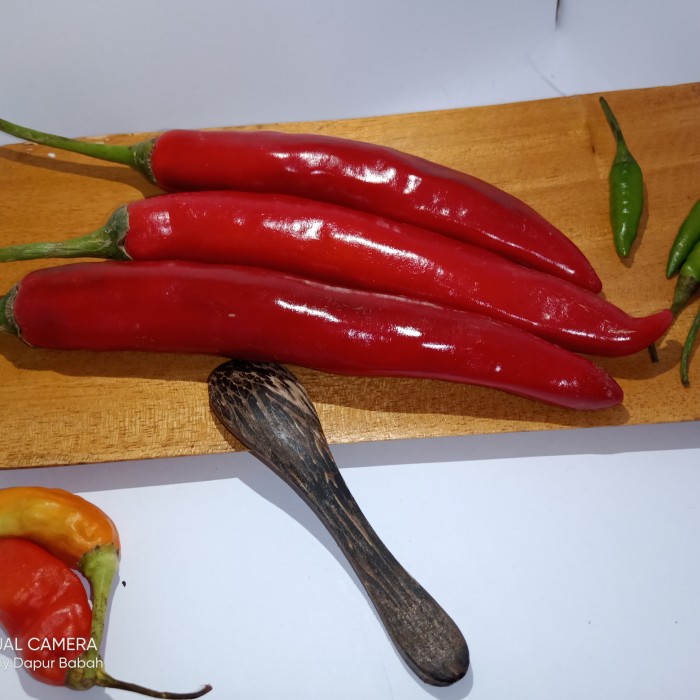 

Roxx.ea - Cabe Merah 1 Kg / Cabe Merah Besar / Cabe Merah Tw - Tangkai, Ukuran A