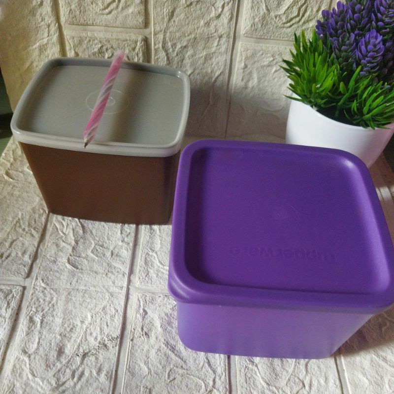 kotak tupperware  / kotak makanan