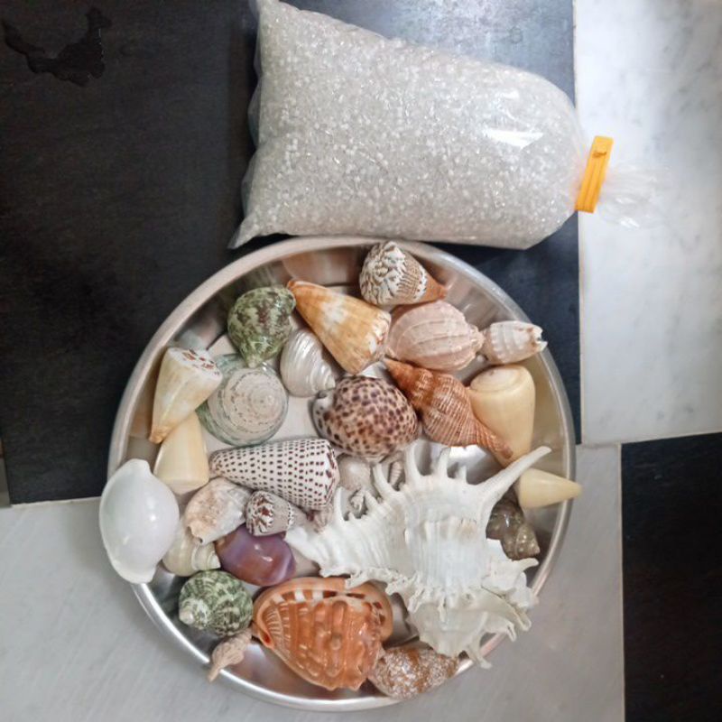 Pajangan kerang2 asli laut+ pasir kristal