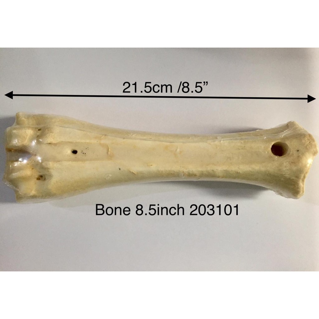 Calcium bone - tulang gigit rasa susu 8.5inch- 21301