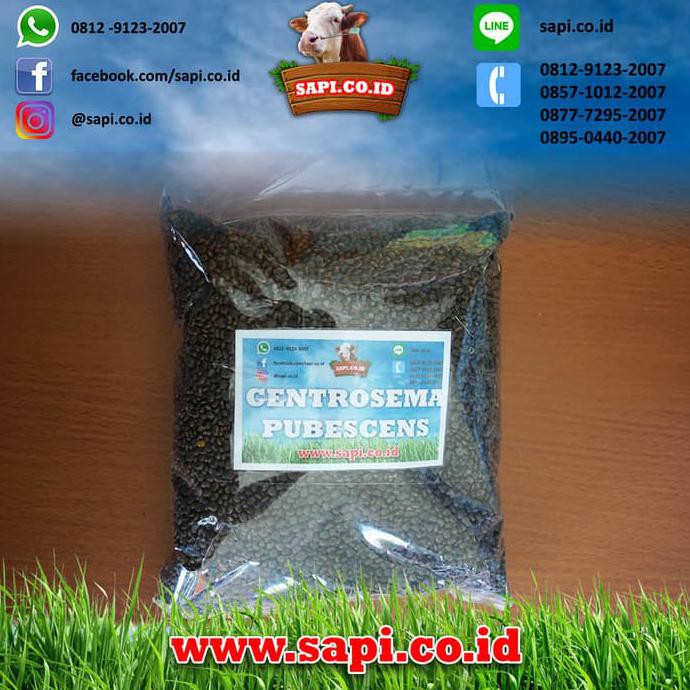 

Benih Centrosema Pubescens 1 Kg