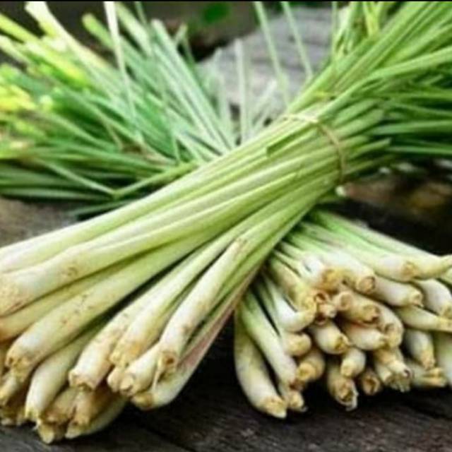 

1 kg sereh bumbu dapur